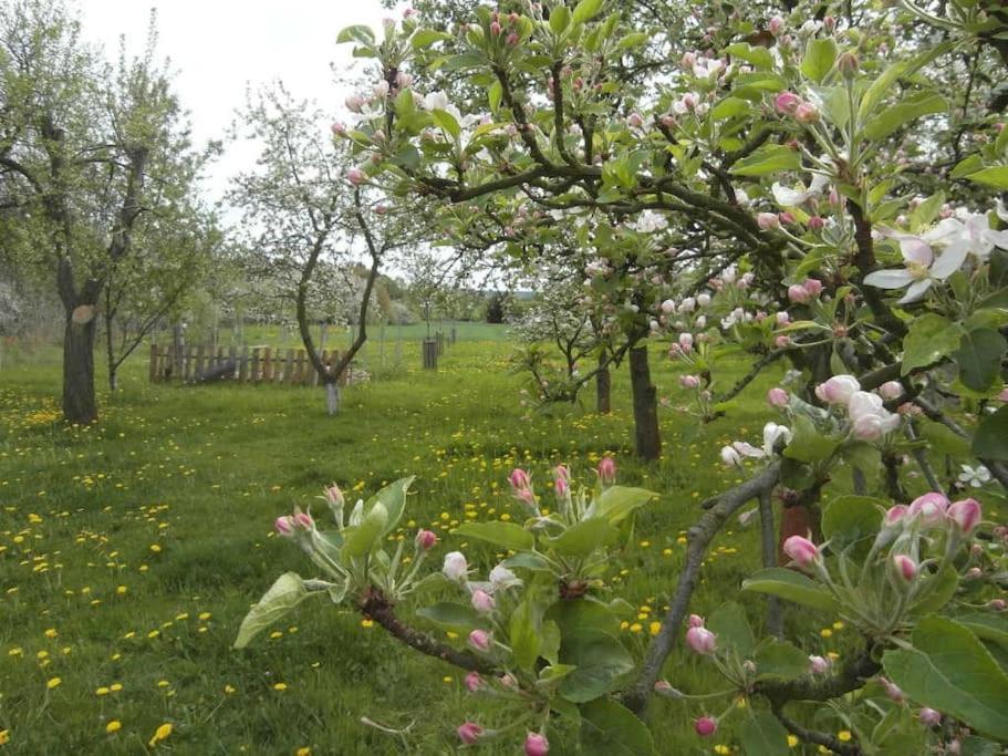 Ferienwohnung Im Vogelhaus Mit Dachterasse Und Grossem Garten Calau Exterior photo